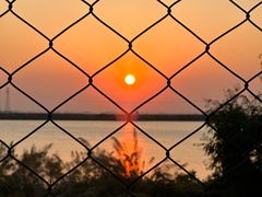 -宝安西湾红树林湿地公园