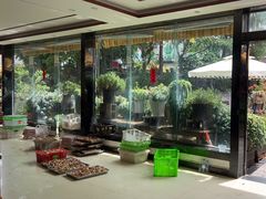-山菌美食苑(振兴路店)