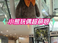 -济州岛泰迪熊博物馆