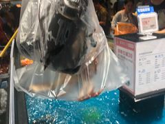 波士顿龙虾-盒马鲜生(曜一城店)