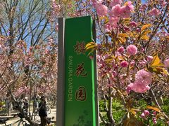 -长白岛森林公园