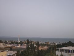 -八婆婆烧仙草(曾厝垵店)