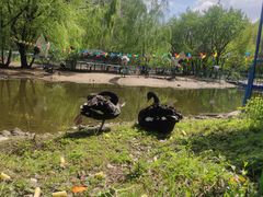 -长白岛森林公园