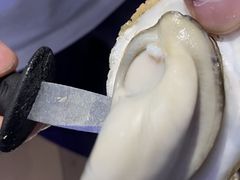 -千岛蚝高压锅生蚝·人参火锅(白云万达店)