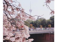 -红星桥(地铁站)