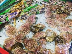 -渔傅·蓝海岸霞浦海鲜(正祥店)