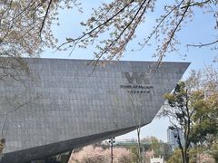 -武汉大学-樱园