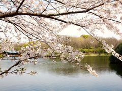 -共青国家森林公园-售票处