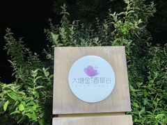 -大塘金香草谷
