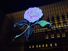 -锅说大脸毛肚重庆老火锅(佐阾店)