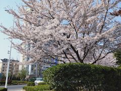 -丁家河公园