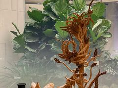 -厦门艾美酒店·新食谱西餐厅