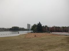 -沙澧河风景区