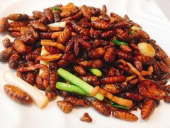 蚕蛹炒肉丝-金春禧(英雄山路旗舰店)
