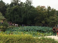 -韶山毛泽东同志故居