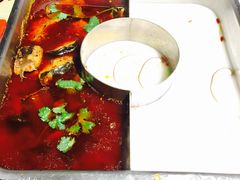 -新辣道鱼火锅(领展购物广场·中关村店)