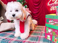 -佛山京华广场MALL