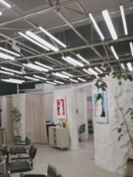 -BOF HAIR BY HONTO