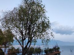 -大理洱海