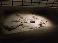 景点-洛阳周王城天子驾六博物馆