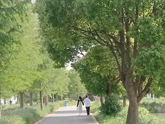 -广富林郊野公园