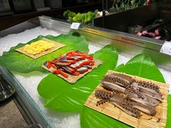 -齐河孔雀王温泉酒店·金孔雀自助百汇