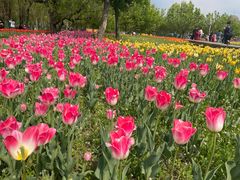 -长春公园(普阳街道)