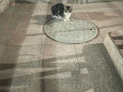 -君悦会影院足道·SPA•推拿(江桥店)