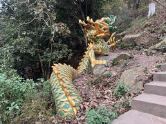 -紫金山山顶公园
