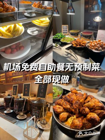 机场免费自助餐无预制菜