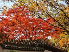 -虞山风景区