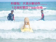 -盘古掌冲浪俱乐部(日月湾店)