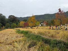 -塔川景区