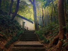 -杭州黄龙洞