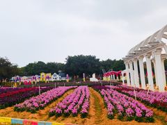 -松山湖梦幻百花洲