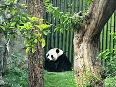 -武汉动物园