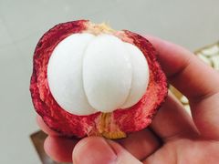 -三亚新鸿港水果一级批发市场