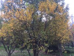 -无锡市市民中心