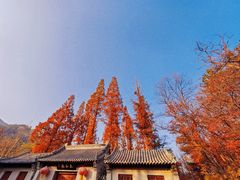-崂山九水游览区