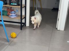 -佳雯宠物医院·皮肤科·内外科(春晓路分院)