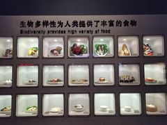 -浙江自然博物院(杭州馆)