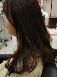 -丝念美发·专注烫染