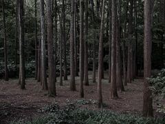 -杭州植物园