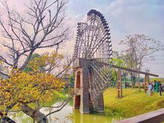 -王借岗森林公园