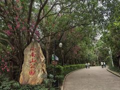 -小南山公园