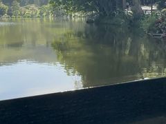 -深圳仙湖植物园