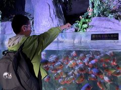 -蓬莱欧乐堡海洋极地世界