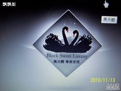 -BLACKSWAN黑天鹅(环球店)
