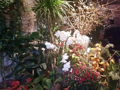 -春暖花开(西溪店)