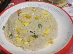 -九村烤脑花(大石坝总店)
